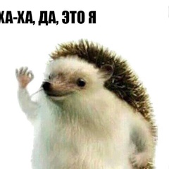 Мурат Абишев, 31 год, Алматы