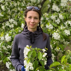 Мария Сергеева, 33 года, Москва