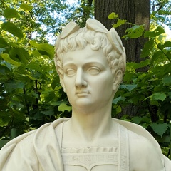 Дмитрий Башков