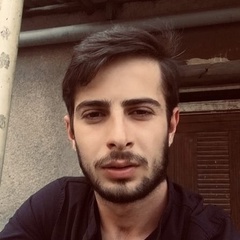 Hovo Ghazaryan, 26 лет