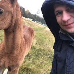 Константин Латунов, 31 год, Санкт-Петербург