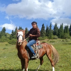 Олжас Жексенбиев, Шелек