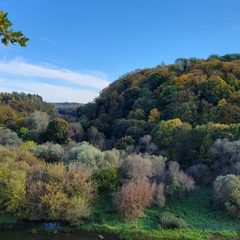 Oleksandr Red, Ровно