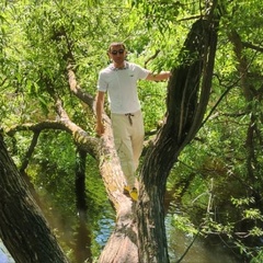 Александр Чухарев, 103 года, Санкт-Петербург