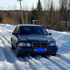 Алексей Пушкарёв