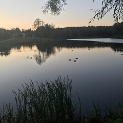 Евгения Петровна, Серпухов