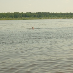 Дмитрий Ураков, Сарапул