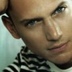 Wentworth Miller, 45 лет