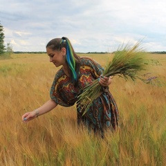 Алёна Никифорова, Калининград