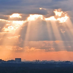 Нилуфар Эшанкулова, Москва