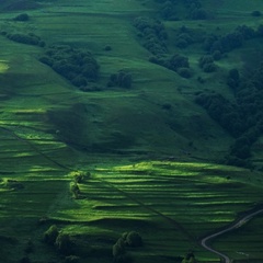 Zaur Vn, Санкт-Петербург