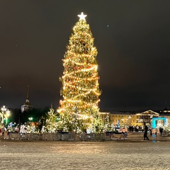 Павел Петров, Санкт-Петербург