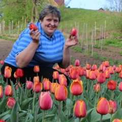 Людмила Компанієць-Чижма, 57 лет, Корсунь-Шевченковский