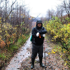 Михаил Селезнев, 42 года, Мурманск