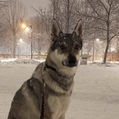 Елена Сухарева, Москва