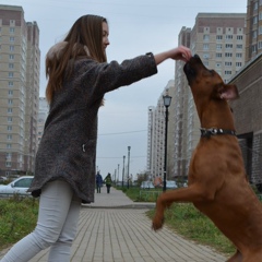 Лиза Жилкина, Москва