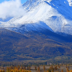 Рустем Саркулов, Алматы