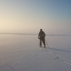 Николай Алексеев