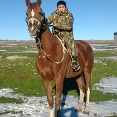 Баглан Саурбаев, 30 лет, Ленгер