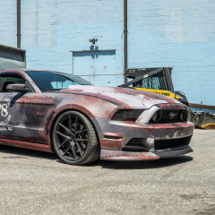 Mustang Gt, Detroit