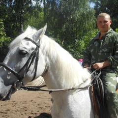 Александр Литовченко, Донецк