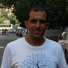 Karim Elsheikh, 37 лет, Cairo