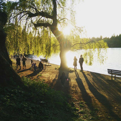 Максим Бенцианов, 38 лет, Vancouver