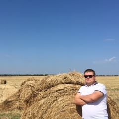 Дмитрий Пивовар, Севастополь