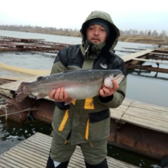 Алексей Кувшинов, Челябинск