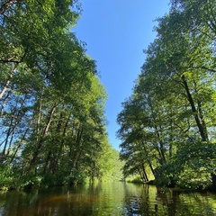 Настя Габровская, Гродно