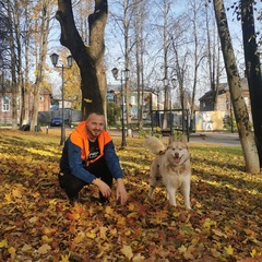 Mikhail Chernogorov, 36 лет, Москва