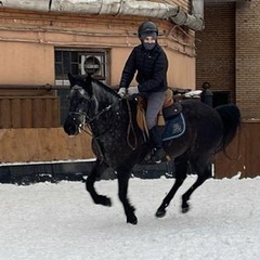 Юля Наумова, 41 год, Москва