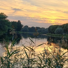 Валентина Батова, Санкт-Петербург