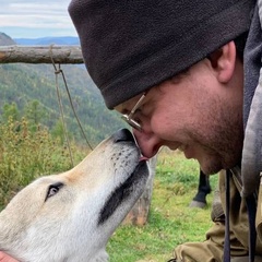 Михаил Зайков, 37 лет, Новосибирск