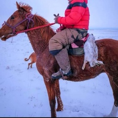 Махамбет Жунусов, 33 года, Астана