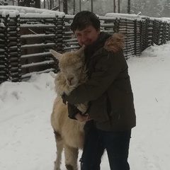 Али Беляев, 44 года, Москва