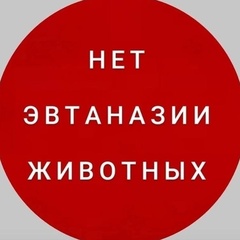 Аленка Ладыко, 43 года, Буденновск