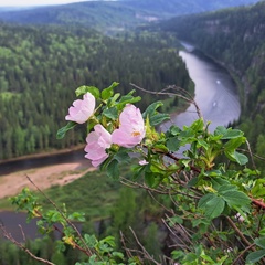 Марина Стрельцова, Екатеринбург