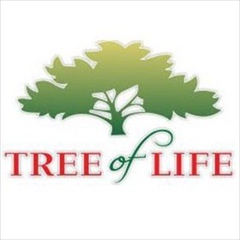 Treeof Life, Актау