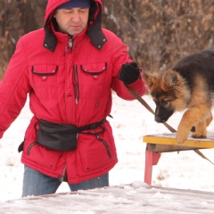 Илья Ястребов, 54 года, Омск