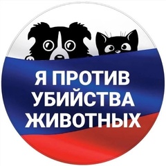Владимир Шуйский, Санкт-Петербург