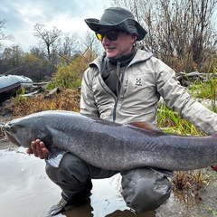 Дмитрий Лоторев, Москва