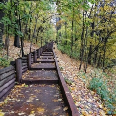 Firuz Mahkamov, 30 лет, Москва