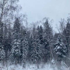 Мария Волкова, Москва