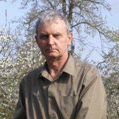 Александр Сивухин, Лисичанск