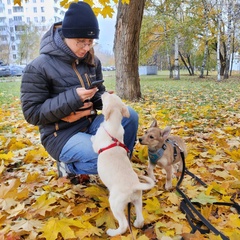 Лиза Перелыгина, Москва