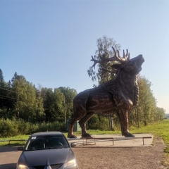 Алёша Синицын, Санкт-Петербург