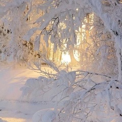 Инна Шадринова, Санкт-Петербург