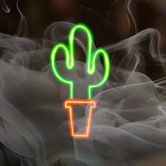 Smoky Cactus, 24 года, Александров