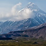 Светлана Пшеничная, Житомир